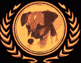 award by dogaholic.de
