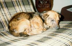 Cane am ersten Tag