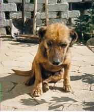 Juli 1986