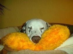 Monty