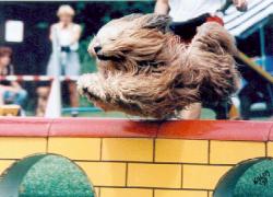 Kallemann beim Sprung �ber die Mauer